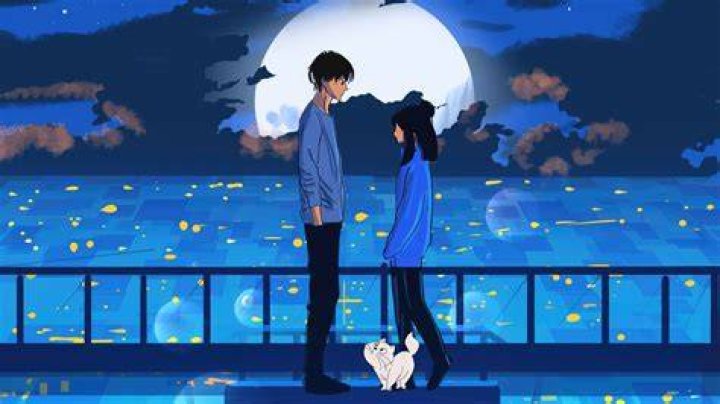 The Night We Met: A Tale of Love and Destiny