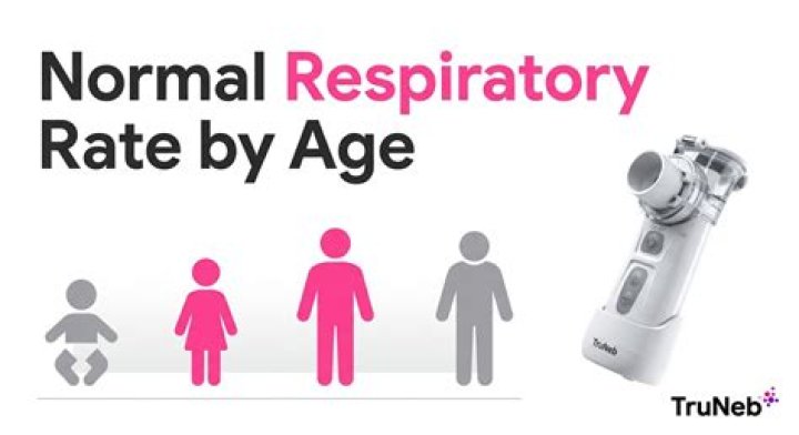 The Normal Respiratory Rate in Adults: Understanding What is Healthy