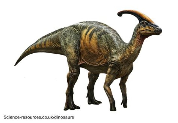 The Pronunciation of Parasaurolophus: A Comprehensive Guide