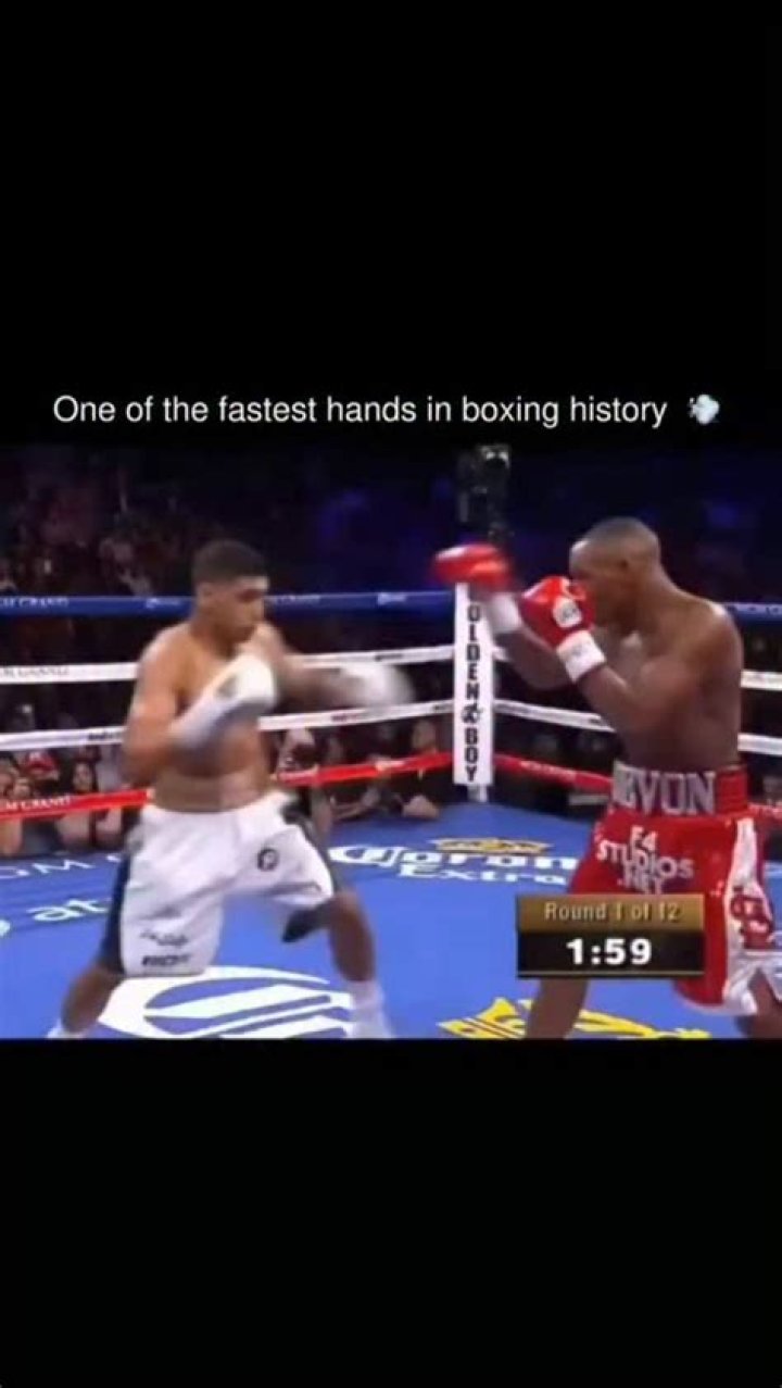 The Remarkable Journey of Boxer Judah: A Legacy of Speed, Skill, and Resilience
