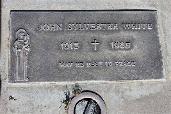 The Remarkable Journey of John Sylvester White: A Detailed Exploration