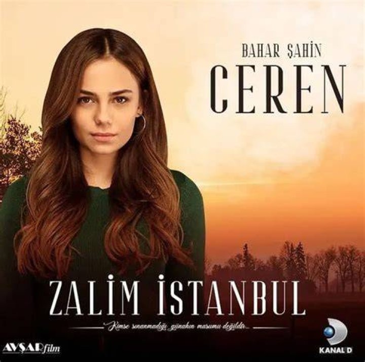 ألب نافروز: The Rising Star of Turkish Cinema