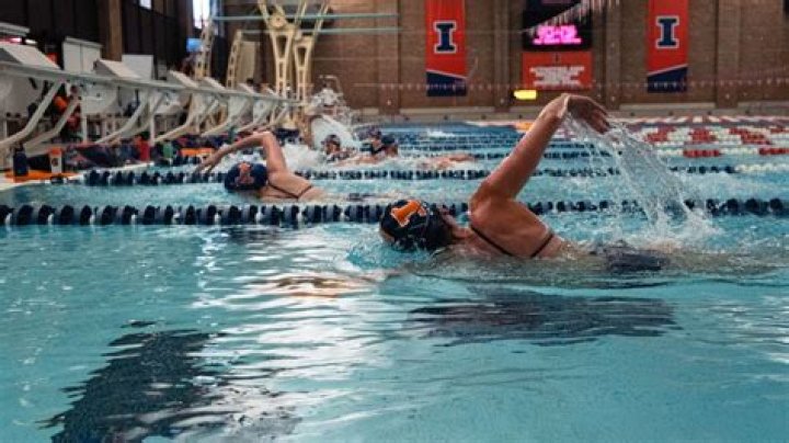The Splendid World of Illinois Swimming