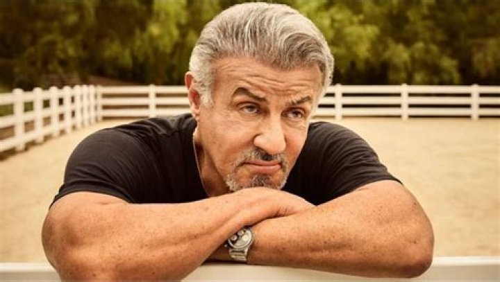 The Timeless Sylvester Stallone: Age, Biography, and Career