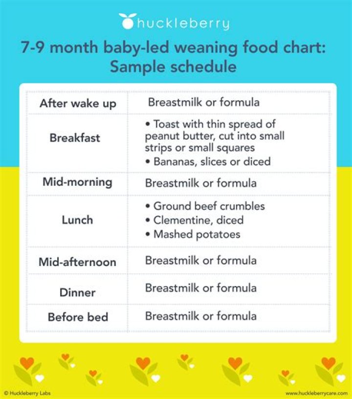 The Ultimate Guide to Baby Care: Everything You Need to Know