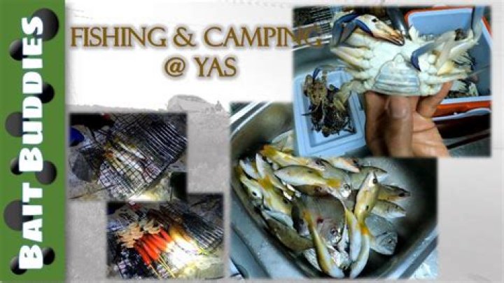 The Ultimate Guide to Bait Buddies: Fishing Friends for Life