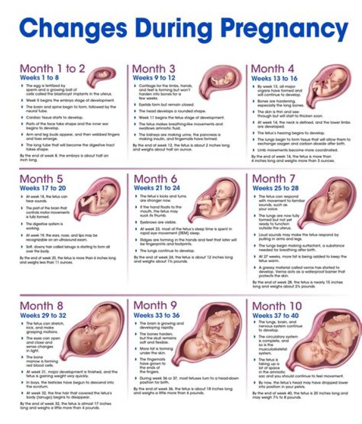The Ultimate Guide to Daryl Hannah's Pregnancy Journey