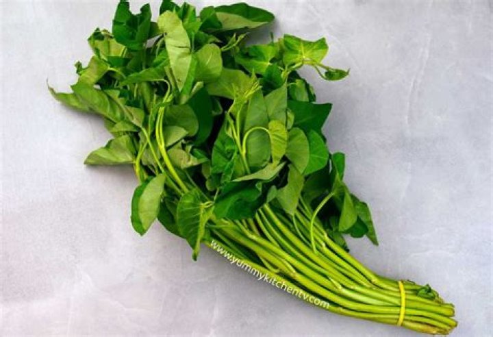 The Ultimate Guide to Kangkung: Health Benefits, Recipes, and More
