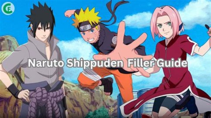 The Ultimate Guide to Understanding Naruto Shippuden Filler Episodes