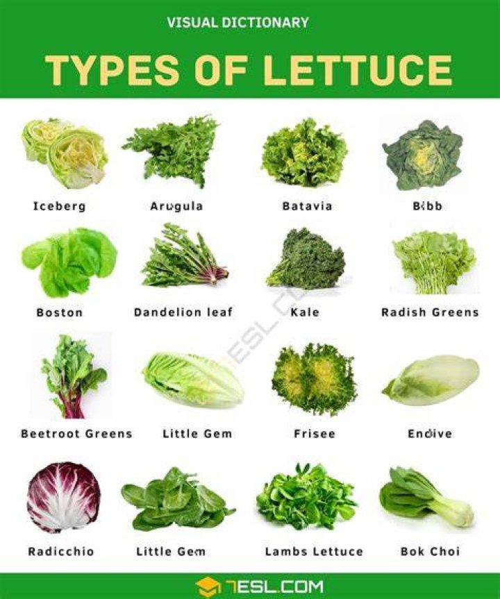 The Ultimate Guide to Vegetables: Health Benefits, Varieties, and Culinary Uses