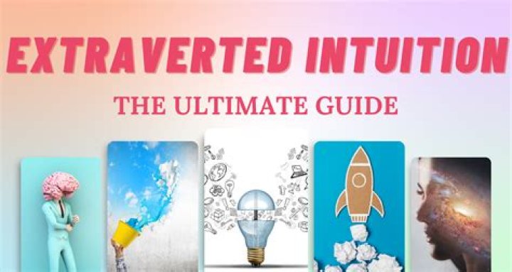 The Ultimate Guide to XNXNXNXNXNXNXN: Everything You Need to Know