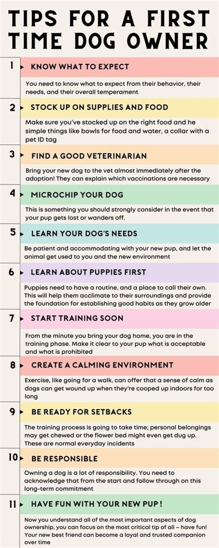 The Ultimate K9lady Guide: Essential Tips for Dog Owners