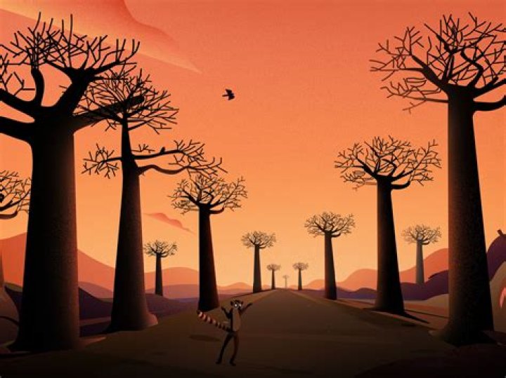 The Unforgettable Tale of Madagascar's Mad History