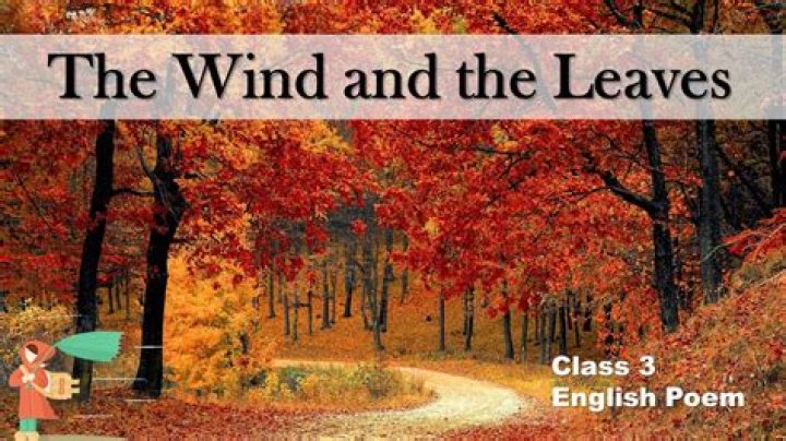 The Whispering Leaves: Decoding "The Tree in the Wind" Poem Answer Key