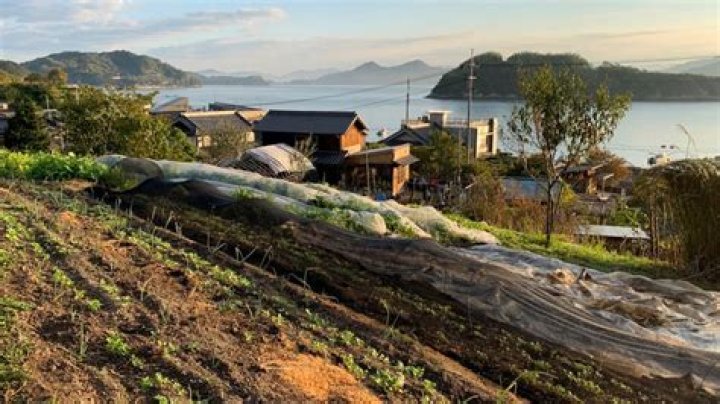 Thriving Agriculture: The Success Story of Pitchfork Farms