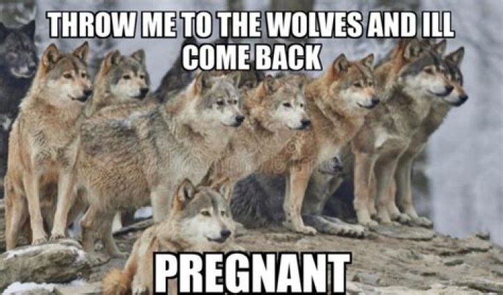 Throw Me to the Wolves Meme: A Deep Dive into Its Origins and Impact