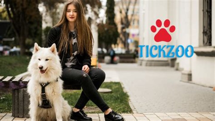 Tickzoo: A Comprehensive Guide to Understanding This Unique Platform