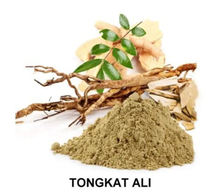 Tongkat Ali Supplement: Unlocking the Benefits of This Natural Wonder