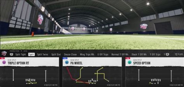 Top 25 Best Simulation Playbooks for NCAA Football