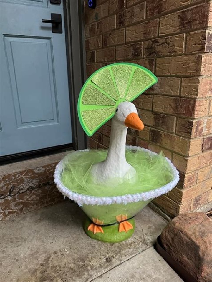 Transform Your Look with a Goose Costume: Fun and Unique Outfit Ideas