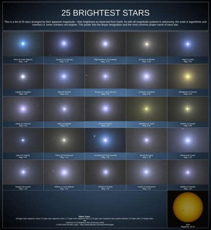 True Summer Celebrities: The Stars Who Shine Brightest in the Sun