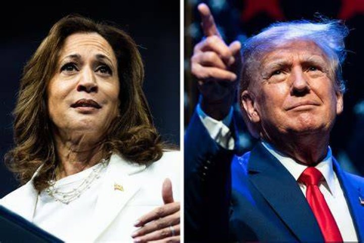 Trump Harris Poll: Analyzing the Latest Trends and Insights