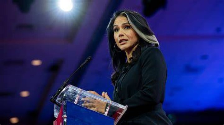 Tulsi Gabbard Body: Exploring the Fitness and Wellness Journey of a Political Figure