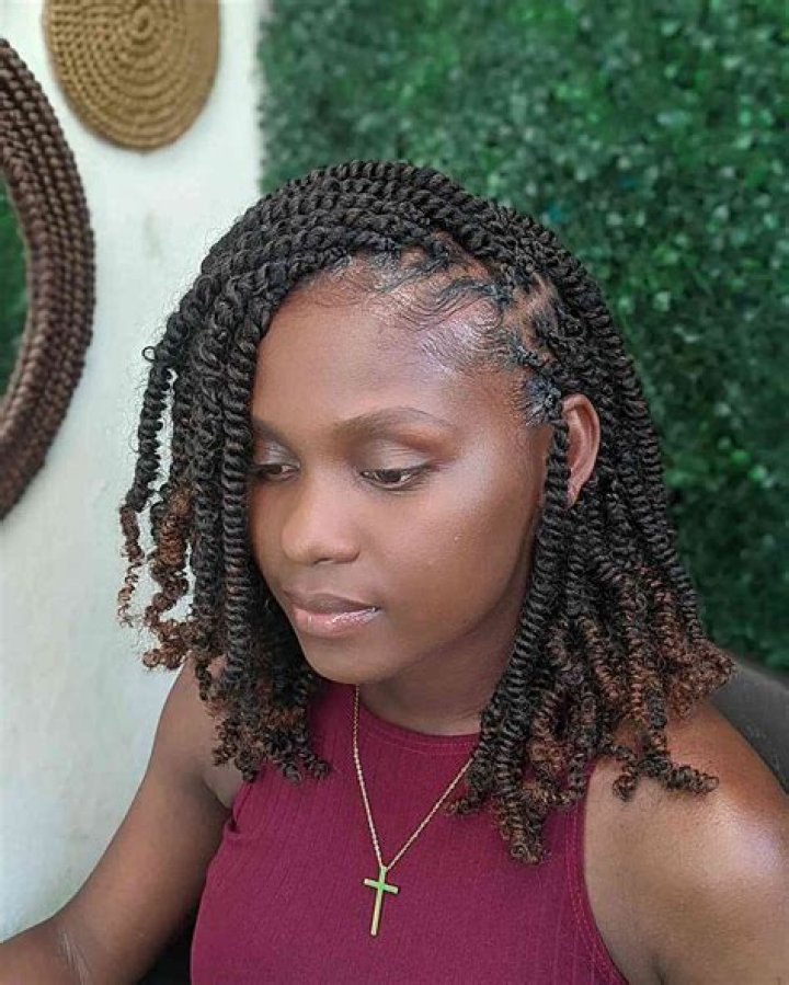 Twist Hairstyles: A Comprehensive Guide to Styles, Techniques, and Care