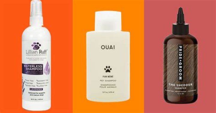 Ultimate Guide to Dog Shampoo: Choosing the Best for Your Furry Friend