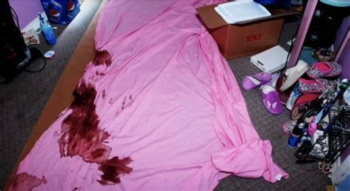 Ultimate Guide to Gypsy Rose Crime Scene Photos