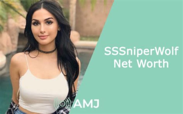 Ultimate Guide to Sssniperwolf Net Worth 2024: Financial Success