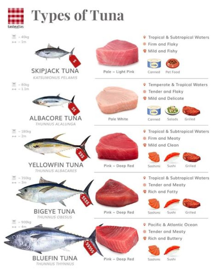 Ultimate Guide to the Tuna Chart: Your Go-To Resource