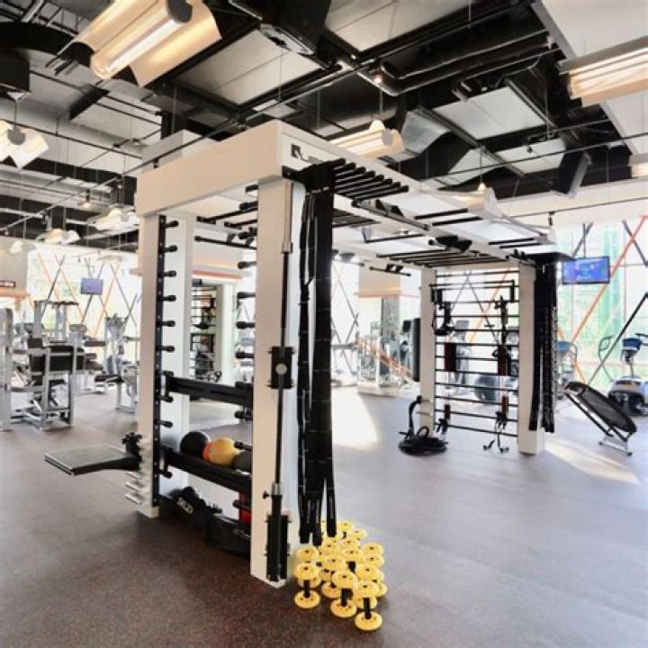Ultimate Guide to Vedius Gymnasium: Experience Fitness Excellence