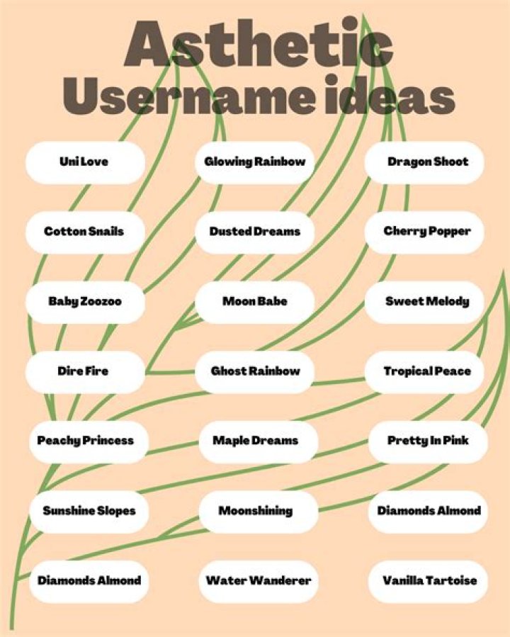 Ultimate Guide to Women Snapchat Usernames: Tips, Ideas, and Examples