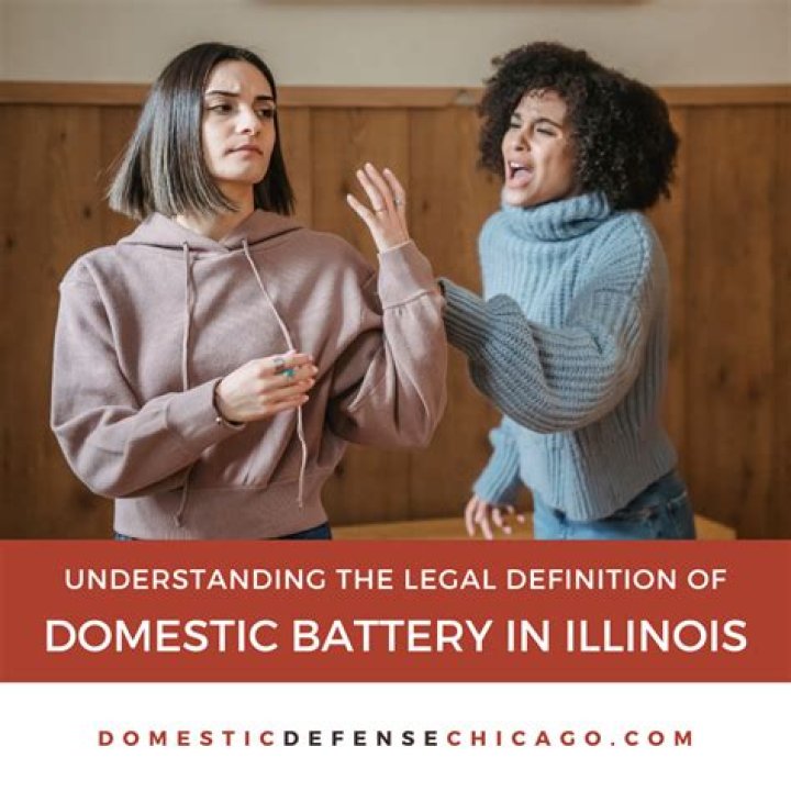 Uncovering the Complexities of Domestic Battery and Alcohol Theft Reports
