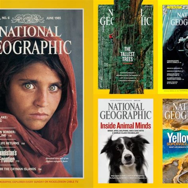 Uncovering the Intriguing World of 1985: A National Geographic Journey