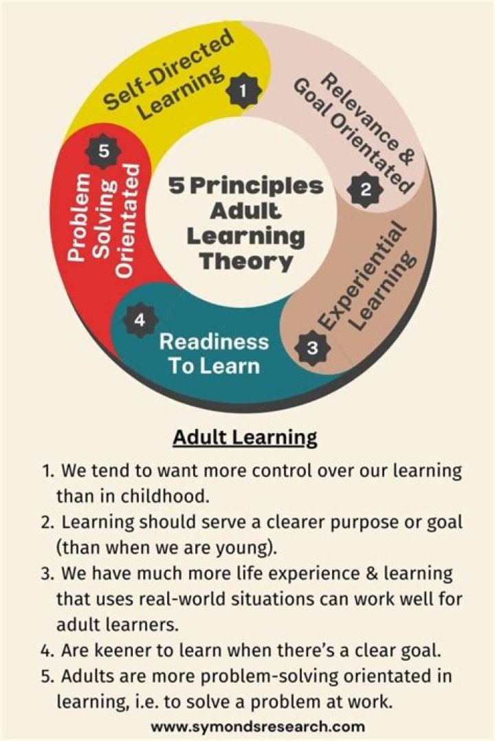 Understanding Adult Work: An In-Depth Exploration