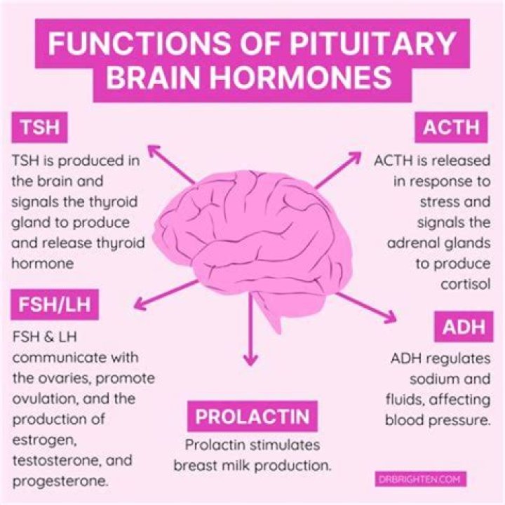 Understanding ATPL Disease: Causes, Symptoms, and Treatments