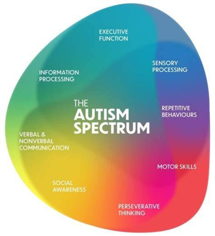 Understanding Autism: Why Some People May Dislike Individuals on the Spectrum