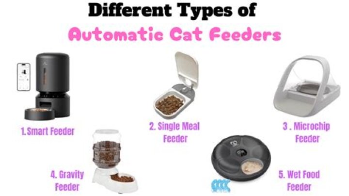Understanding Automatic Cat Feeders: A Comprehensive Guide