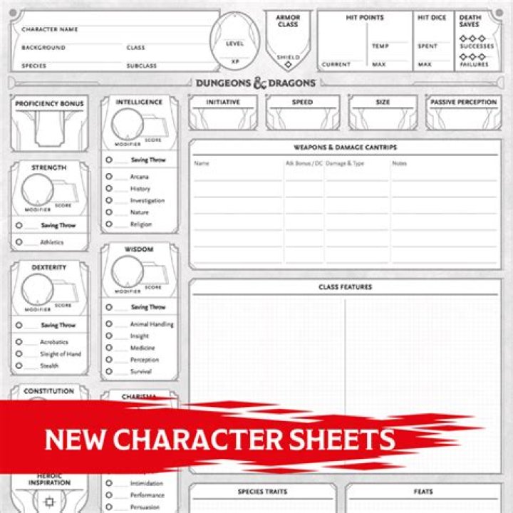 Understanding Character Sheets: A Comprehensive Guide for Gamers and Creatives