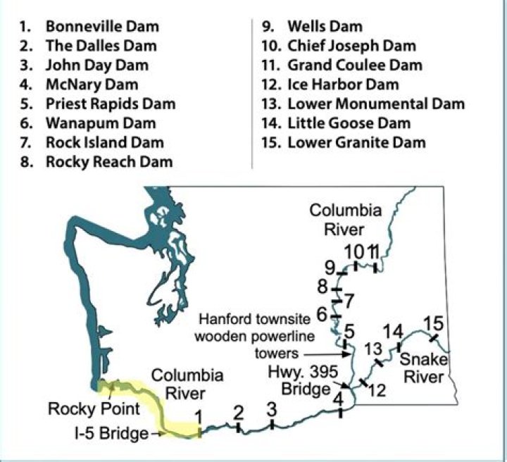 Understanding Columbia River Fish Counts: A Vital Resource for Conservation
