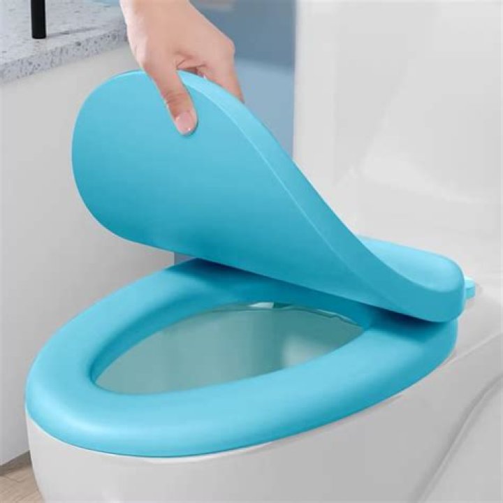 Understanding Elongated Toilet Seat Covers: The Perfect Choice for Comfort and Style