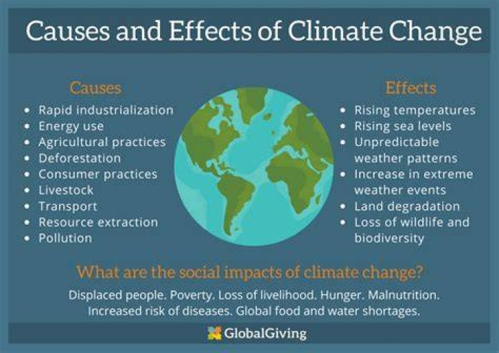 Understanding Fed Upness: Causes, Effects, and Solutions