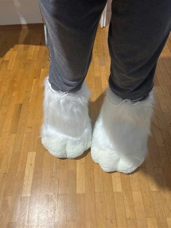 Understanding Fursuit Butts: A Comprehensive Guide