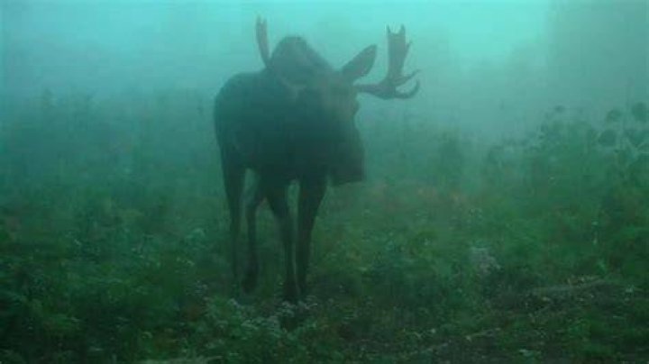Understanding Gorecenter: A Deep Dive into the World of Extreme Horror and Art