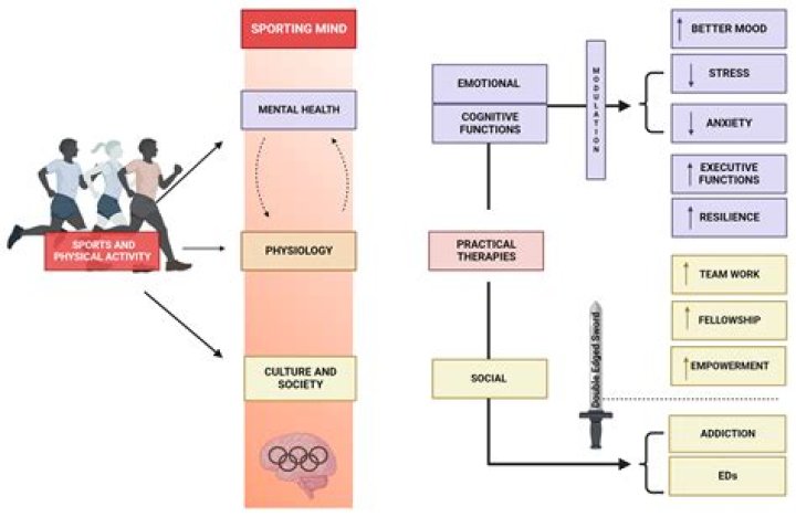 Understanding Gorecentre: A Comprehensive Guide to the Intricacies and Impact