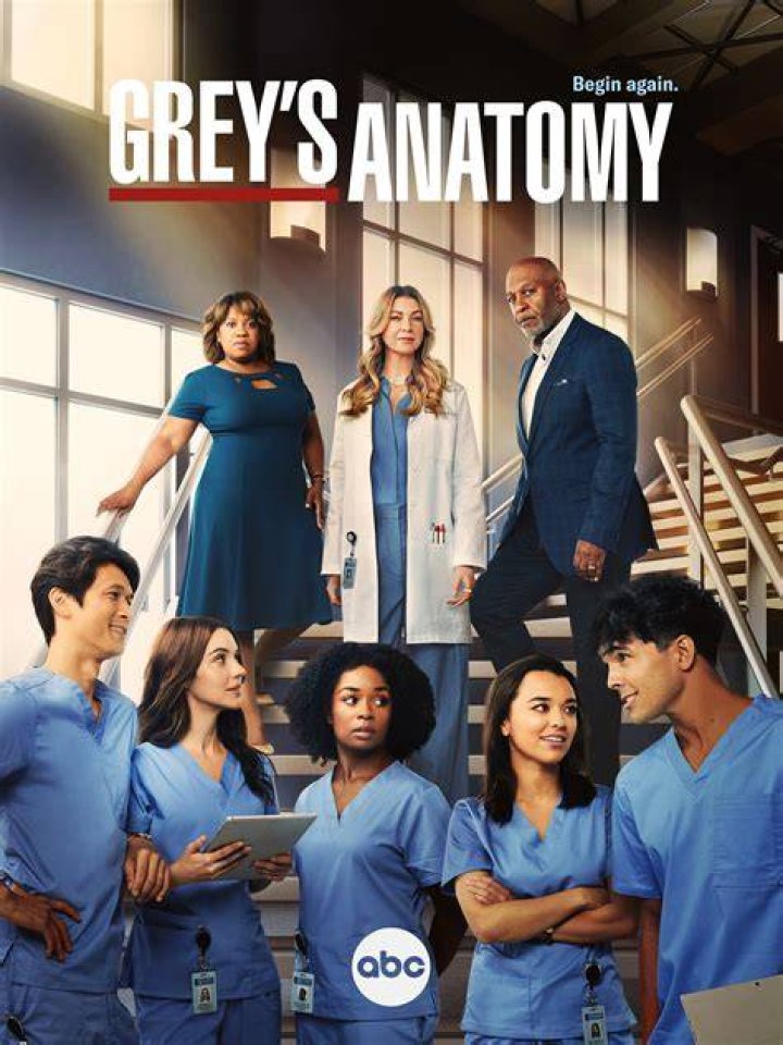 Understanding Grey's Anatomy: A Deep Dive into the Iconic Medical Drama