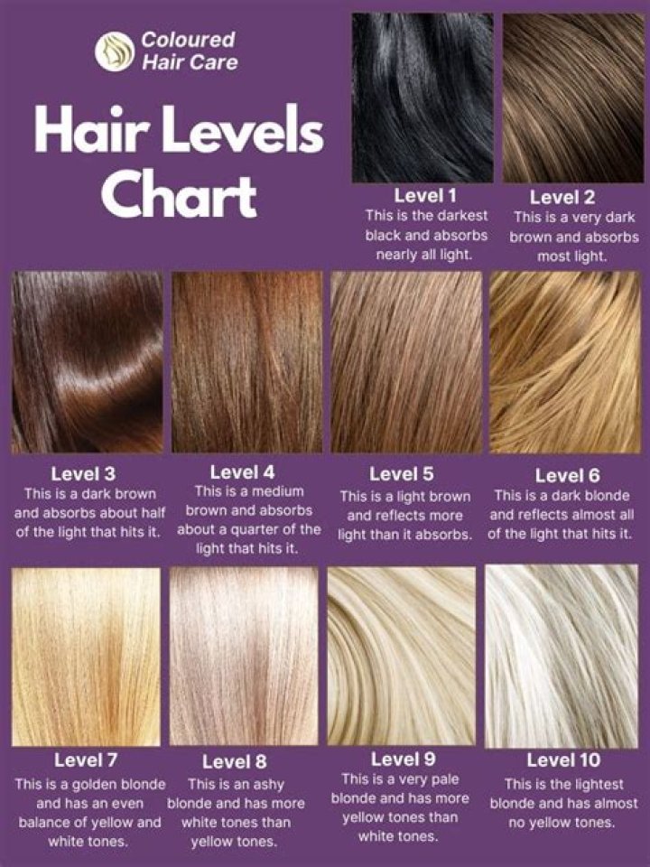 Understanding Level 6 Hair: A Comprehensive Guide to Color and Care