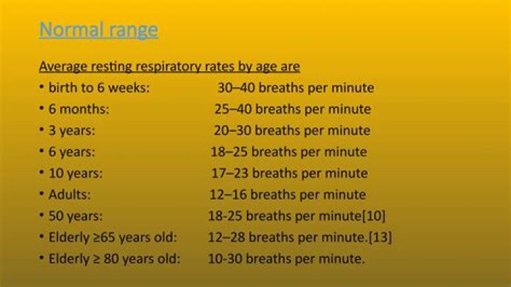 Understanding Normal Respiratory Rate: What You Need to Know